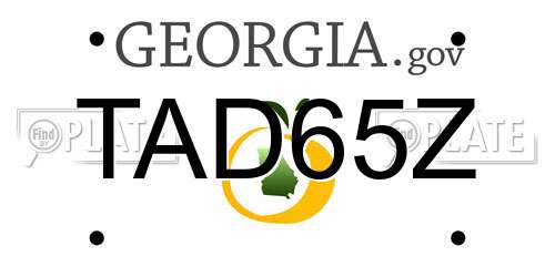 TAD65Z Georgia License Plate
