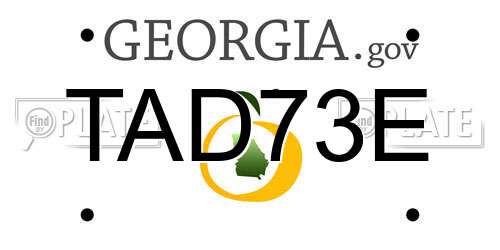 TAD73E Georgia License Plate