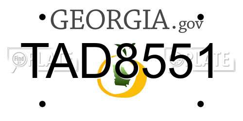 TAD8551 Georgia License Plate