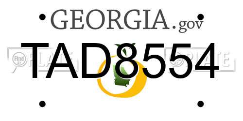 TAD8554 Georgia License Plate