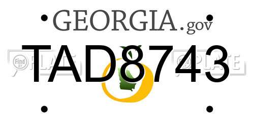 TAD8743 Georgia License Plate