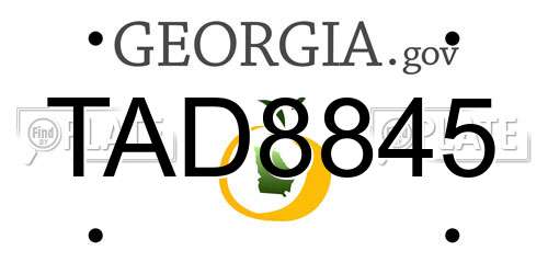 TAD8845 Georgia License Plate