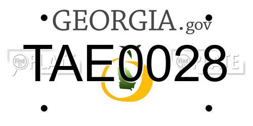 TAE0028 Georgia License Plate