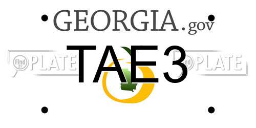 TAE3 Georgia License Plate