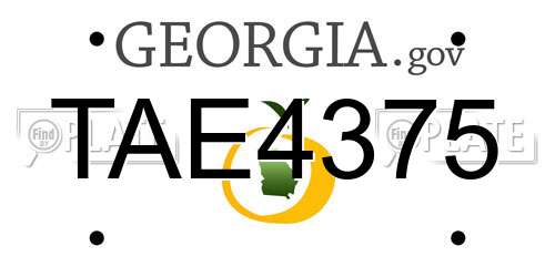TAE4375 Georgia License Plate
