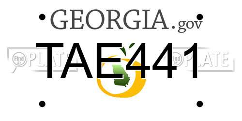 TAE441 Georgia License Plate