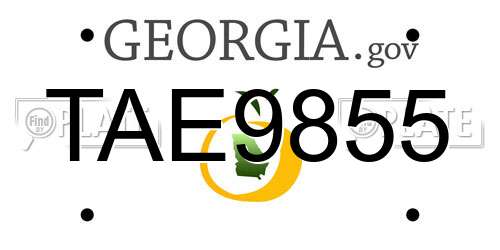 TAE9855 Georgia License Plate