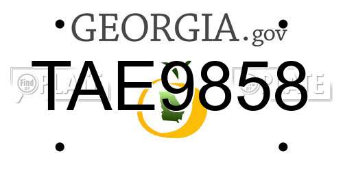 TAE9858 Georgia License Plate