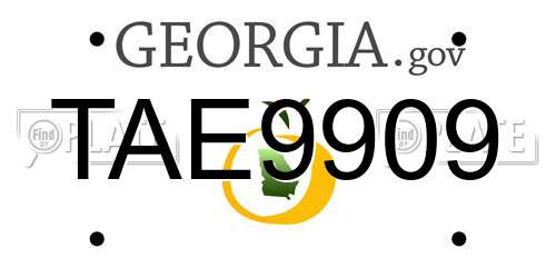 TAE9909 Georgia License Plate
