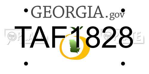TAF1828 Georgia License Plate