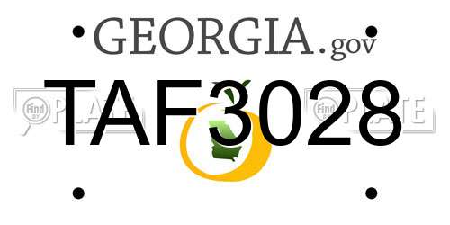 TAF3028 Georgia License Plate