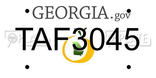 TAF3045 Georgia License Plate