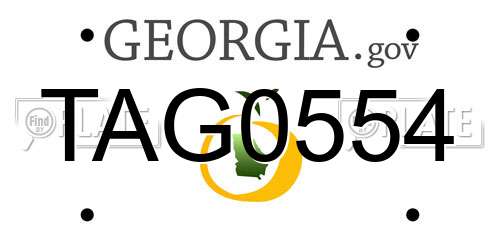 TAG0554 Georgia License Plate