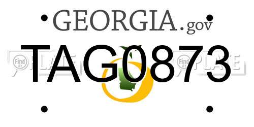 TAG0873 Georgia License Plate