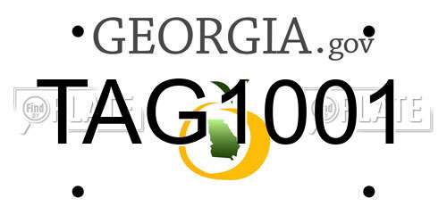TAG1001 Georgia License Plate