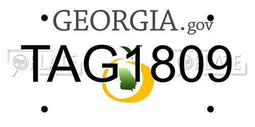 TAG1809 Georgia License Plate