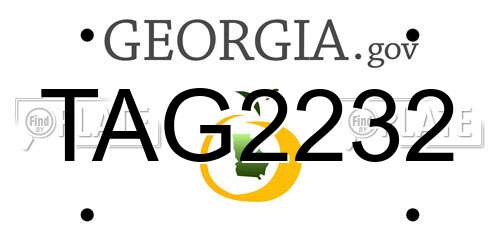 TAG2232 Georgia License Plate