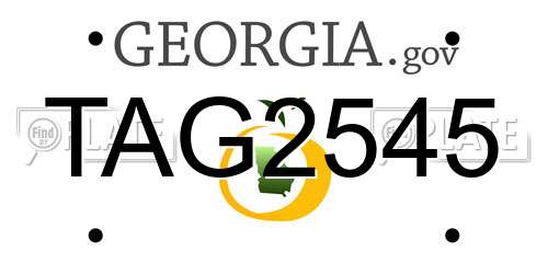TAG2545 Georgia License Plate