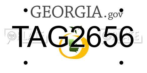 TAG2656 Georgia License Plate