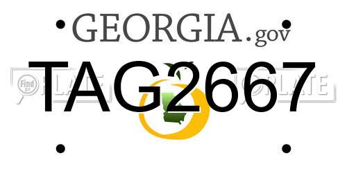 TAG2667 Georgia License Plate