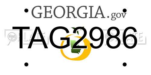 TAG2986 Georgia License Plate