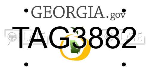 TAG3882 Georgia License Plate