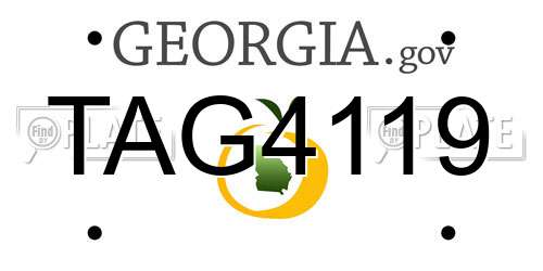 TAG4119 Georgia License Plate