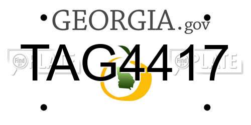 TAG4417 Georgia License Plate