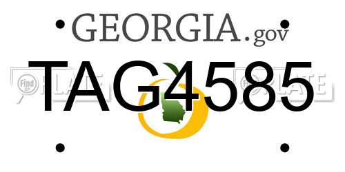 TAG4585 Georgia License Plate