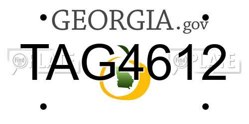 TAG4612 Georgia License Plate