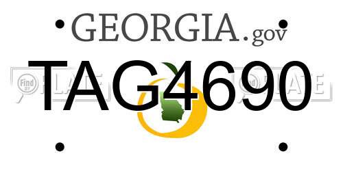 TAG4690 Georgia License Plate