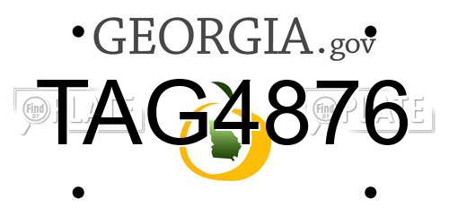 TAG4876 Georgia License Plate