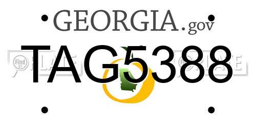 TAG5388 Georgia License Plate