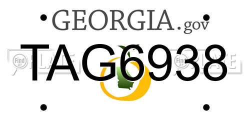 TAG6938 Georgia License Plate