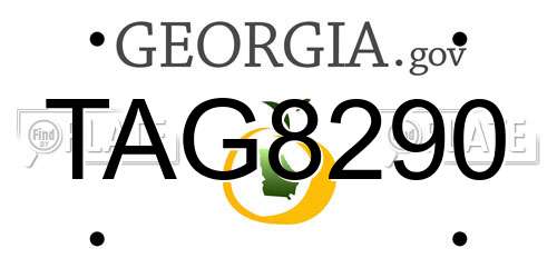 TAG8290 Georgia License Plate