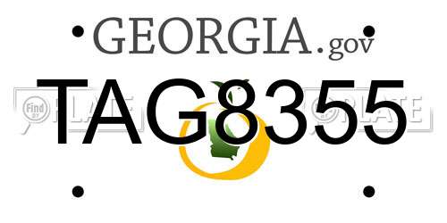 TAG8355 Georgia License Plate