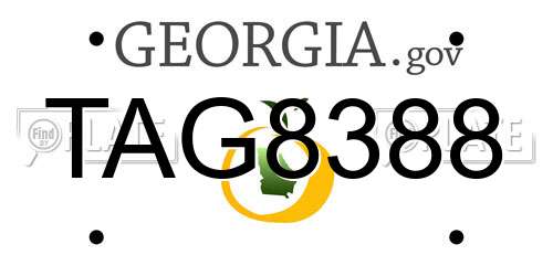 TAG8388 Georgia License Plate