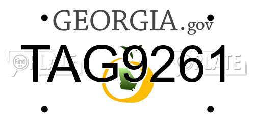 TAG9261 Georgia License Plate