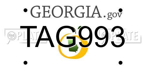 TAG993 Georgia License Plate