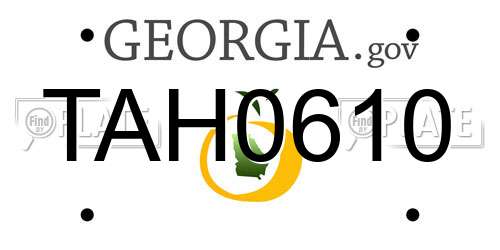 TAH0610 Georgia License Plate