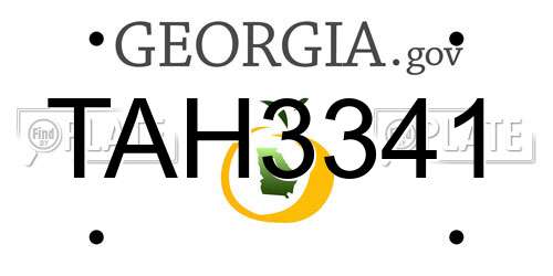 TAH3341 Georgia License Plate