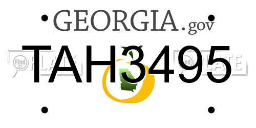 TAH3495 Georgia License Plate