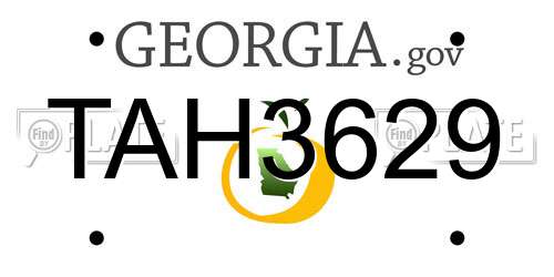 TAH3629 Georgia License Plate