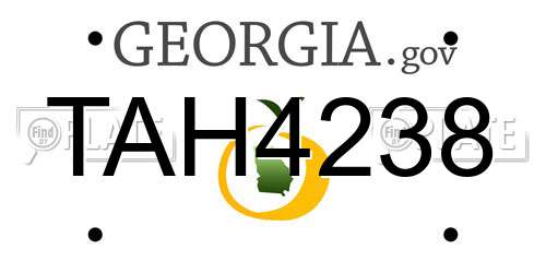 TAH4238 Georgia License Plate