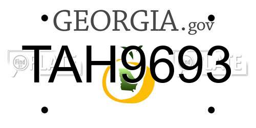 TAH9693 Georgia License Plate