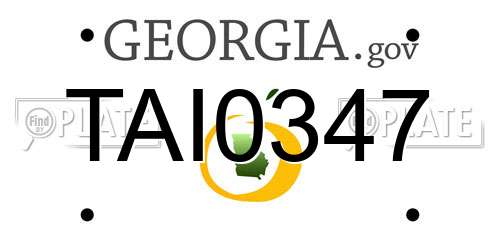 TAI0347 Georgia License Plate