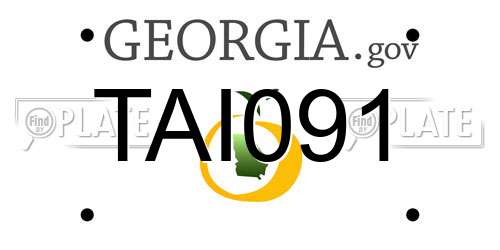 TAI091 Georgia License Plate