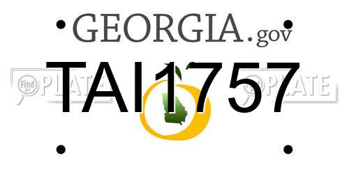 TAI1757 Georgia License Plate