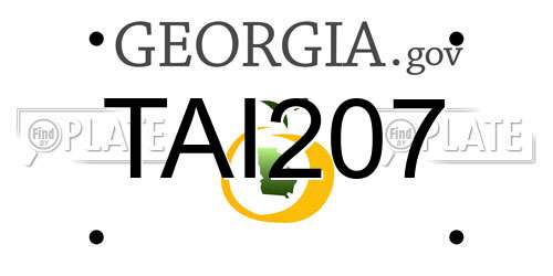 TAI207 Georgia License Plate