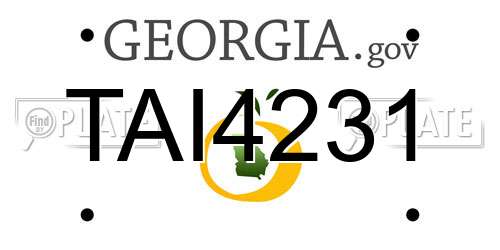 TAI4231 Georgia License Plate
